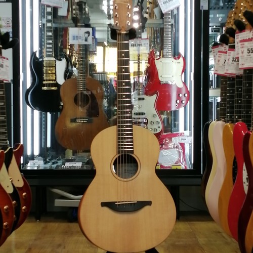 Guitare acoustique sheeran - guitare,