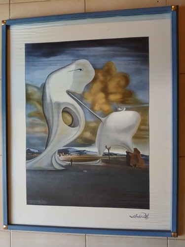Salvador dali serigraphie sur - serigraphie,