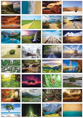 Nature selection lot 32 - lot,