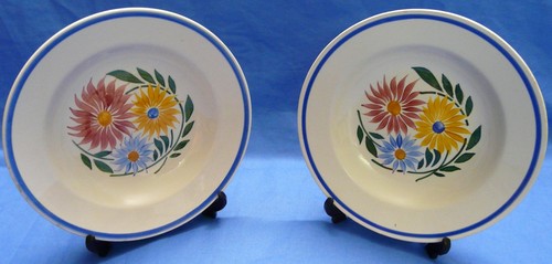Assiettes creuses hbcm - 2,