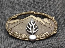 INSIGNE  BREVET  CERTIFICAT