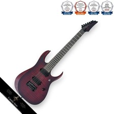 Guitare Ibanez RGD721FAWUF 7