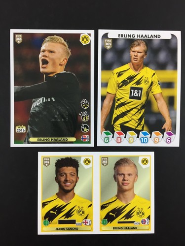 Erling haaland jadon sancho - erling,