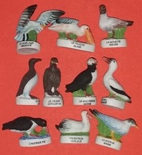 Série complète fèves