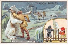 Chromos - COR10197 - Tapioca