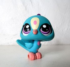 Petshop paon oiseau .