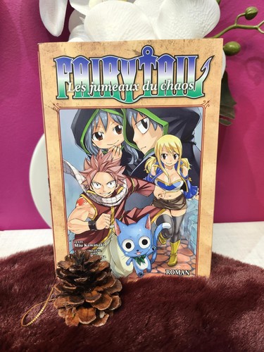 Livre fairy tail roman - -,