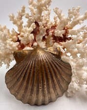 Ancien presse-papier coquille