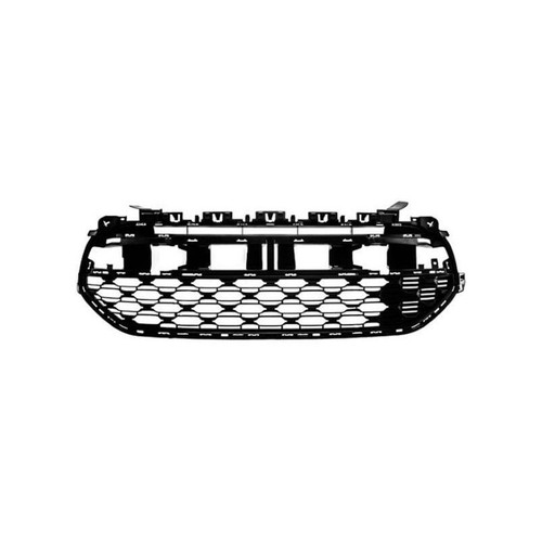 Grille pare choc - de, avant