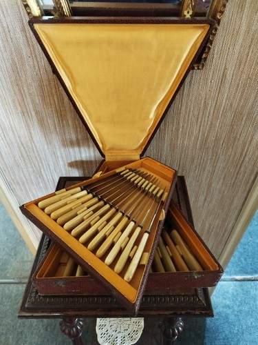 Couteaux manches corne de - manches,