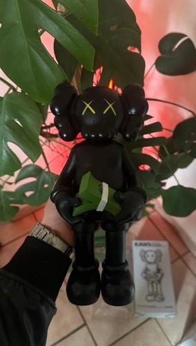 Kaws companion counting - kaws,