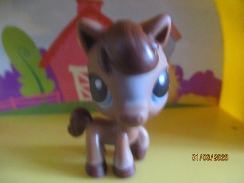 Petshop cheval 337 - petshop, avec