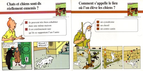 Lot numero 2 - lot,