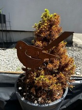 Grille précieuse pic jardin