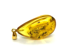 Pendentif Ambre 2 Insectes