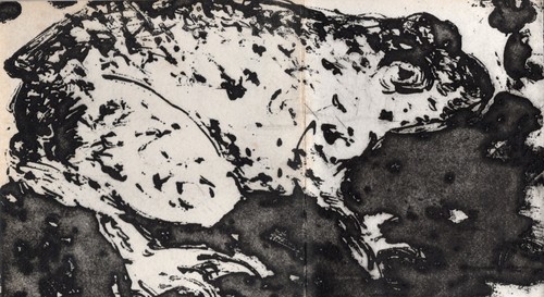 Jean henri fabre - crapaud, /