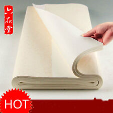 100 Calligraphie Chinoise Peinture Papier De Riz Japonais Sumi-E Xuan Art écrire