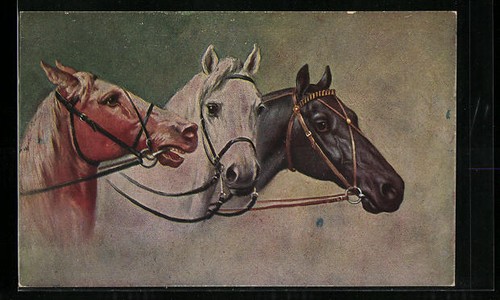 Tête cheval rouge brun - tête, rouge-brun