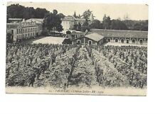 33  PAUILLAC  CHATEAU LAFITE