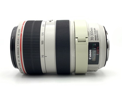 Canon 300mm 6 - canon, f4-5.6