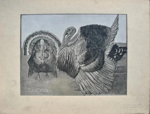 Mathurin meheut le - mathurin, dindon