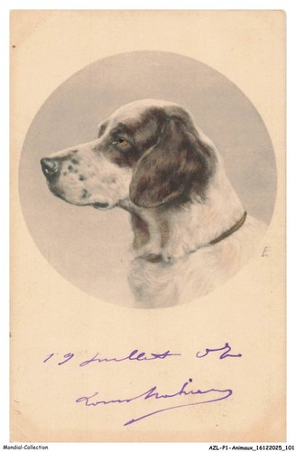 Azlp1 0053 animaux chien - -,