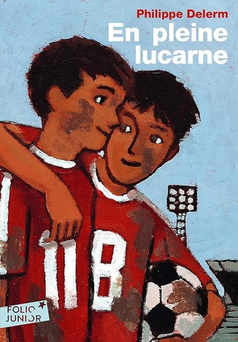 Pleine lucarne delerm - lucarne,