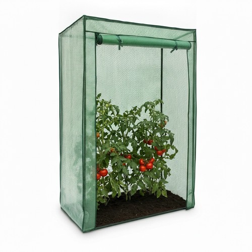 Serre tomates abri - , pour