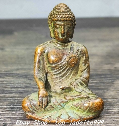 Old dynasty pure - 1.7"old,
