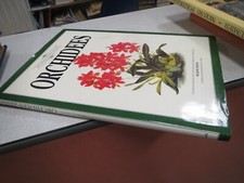 CA3 ORCHIDEES NUGENT FITCH