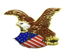 Paquet De 50 Écussons De L'Armée Américaine Pour Casque De Moto Pin's HP6021