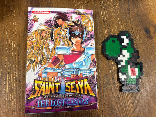 Saint seiya the lost - , canvas