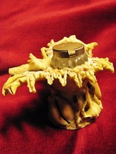 ENCRIER ancien SOUVENIR BORD de MER sur COQUILLAGES CABINET de CURIOSITés