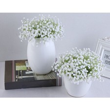 Gypsophile Artificielle