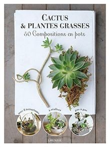 Cactus plantes grasses de - et,