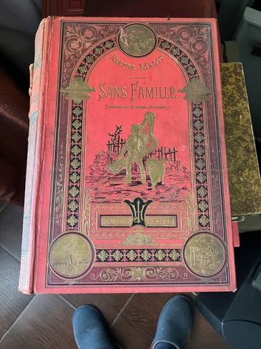 Sans famille hector malot - famille,