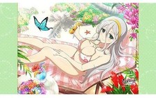 Shinobi Master Senran Kagura Awakening Dakimakura Cover & Sheet 220x128cm Polyes