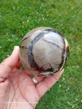 Septaria Forme Sphère Pierre