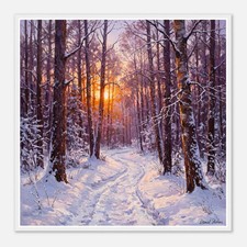 Exclusive Poster "Snow Forest"