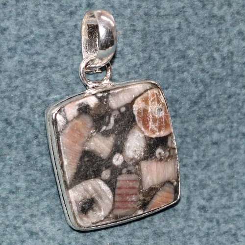 Pendentif fossile crinoïde - fossile,