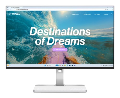 Lenovo l24d écran - l24d-4c,
