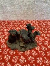 ROTTWEILER PUPPIES PLAYING