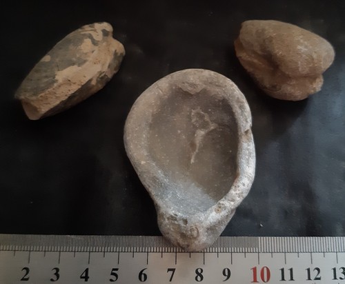 Fossile france specimens - france,