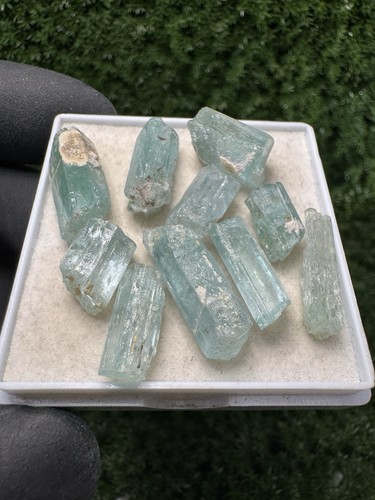 Rare lot aigue - rare,