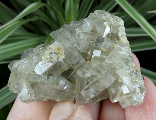 Cristaux baryte marsanges - cristaux,