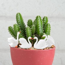 Mini Figurines de cygne, 4