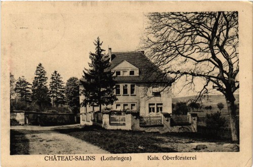 Cpa chateau salins - ak,
