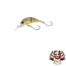 NOUVEAU Shimano Cardiff