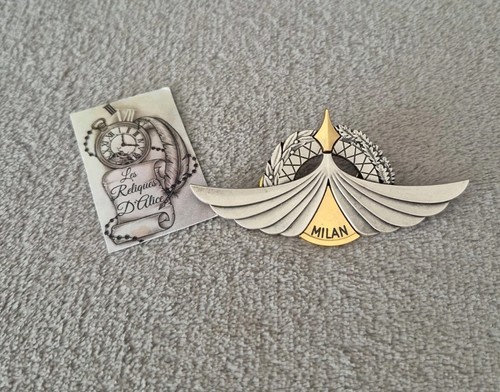 Insigne pin brevet - pin's,
