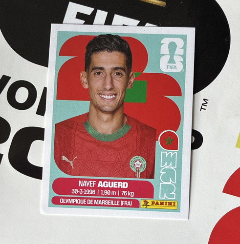 Panini fifa soccer sticker - panini,